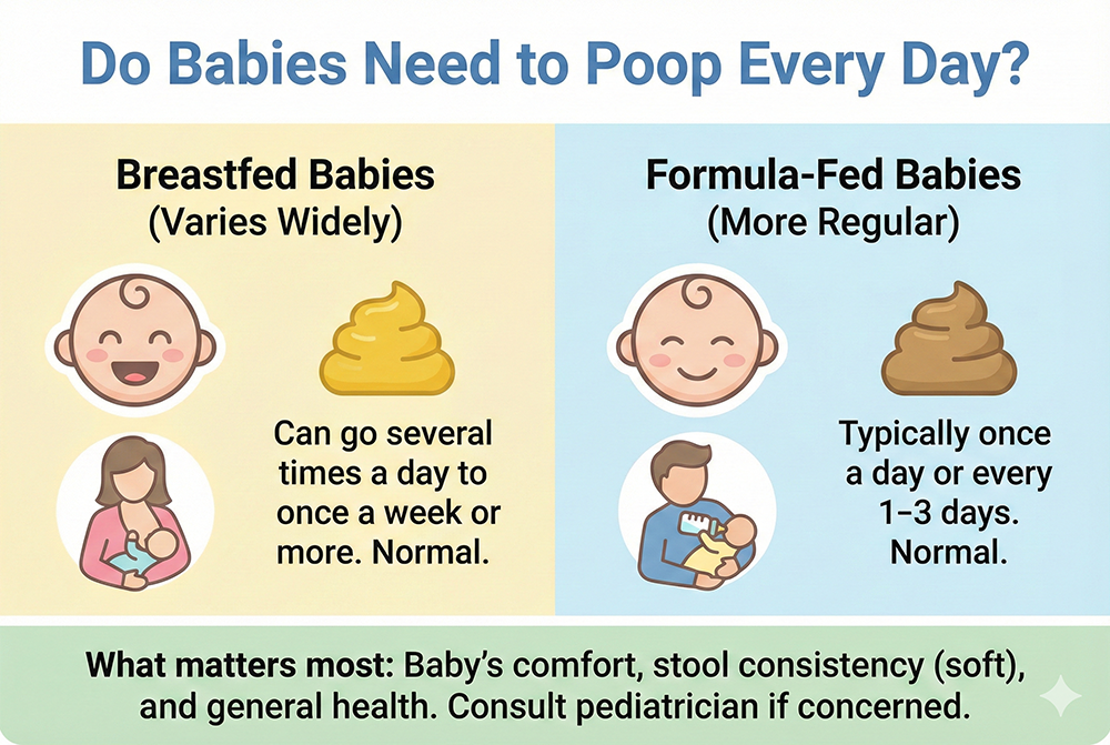 Do Babies Need to Poop Every Day? What’s Normal and When to Worry